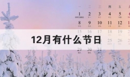 12月有什么节日