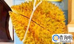 怎么选榴莲外形才好吃