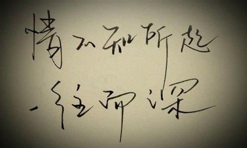 情不知所起一往而深下一句是什么