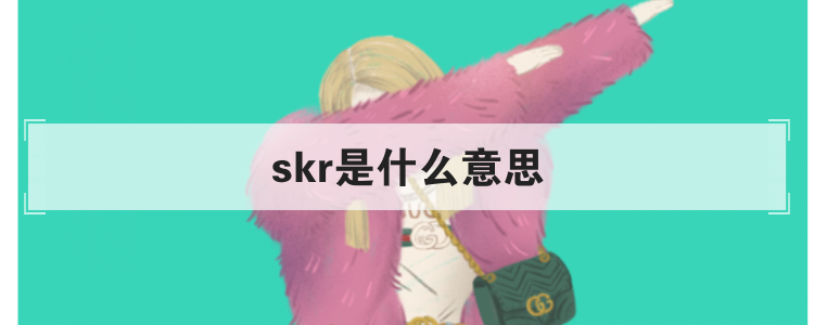 skr是什么意思