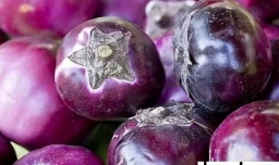 茄子的功效与作用