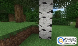 我的世界树屋怎么搭建