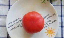 怎样做美味的番茄粉丝汤？