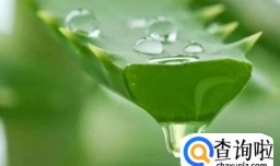 哪些食物容易导致早产？