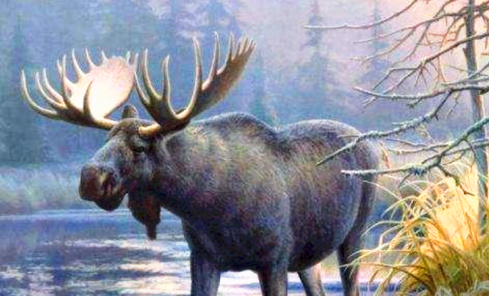 四不像是什么动物