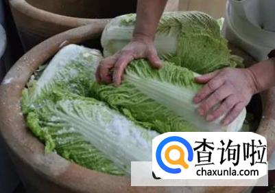 酸菜的制作方法br