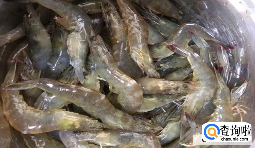 怎样煮虾简单又好吃