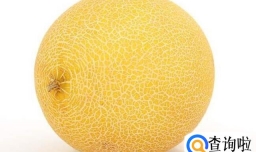 教你做夏日果盘,哈密瓜香瓜加芒果