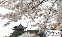 武汉4月踏青不花钱的好去处