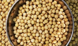 如何在家做卤水豆腐