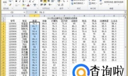EXCEL如何使用条件格式显示不同颜色？