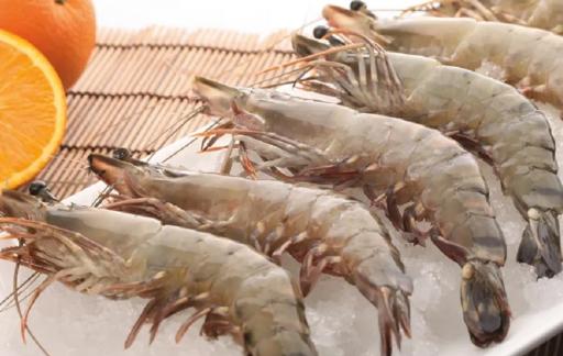 海虾是热性还是凉性