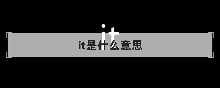 it是什么意思