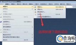 ASP.NET中如何通过QueryString进行页面传值