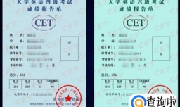 四六级证书丢了怎么办