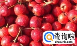 炖猪脚怎样肉才容易烂