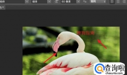 ps合并的图层怎么分开