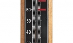 摇钱树为什么总掉叶子