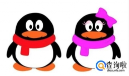 腾讯四大网络平台是什么