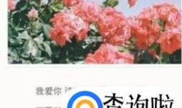 怎么和女朋友说情话