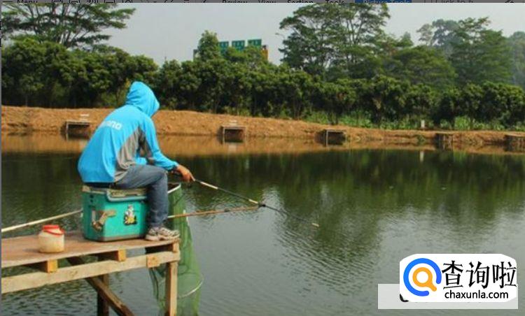 初学者钓鱼技巧，新手如何钓鱼？