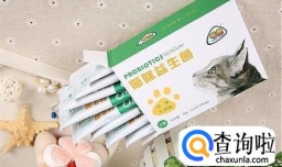 使用猫咪益生菌的五大注意事项