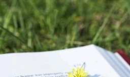 英语写作常用短语