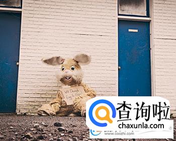 朱姓女孩起名参考