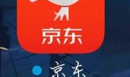 京东如何查看之前的购买的东西