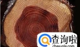 刺猬紫檀怎么鉴别