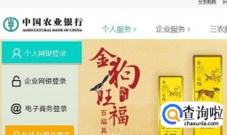 农业银行 K宝 数字证书 更新