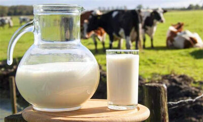 脱脂牛奶的危害