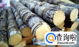 春天吃甘蔗有哪些好处和坏处