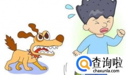 遇到狗追你该怎么办