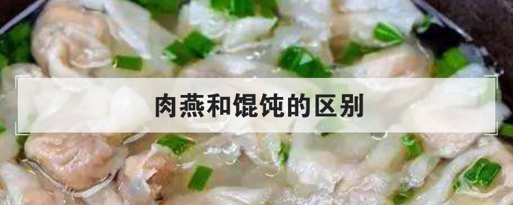 肉燕和馄饨的区别