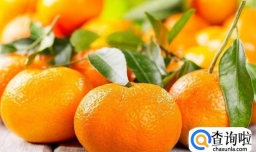 冬季时令水果合集