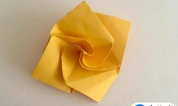 漂亮的蔷薇花怎么折