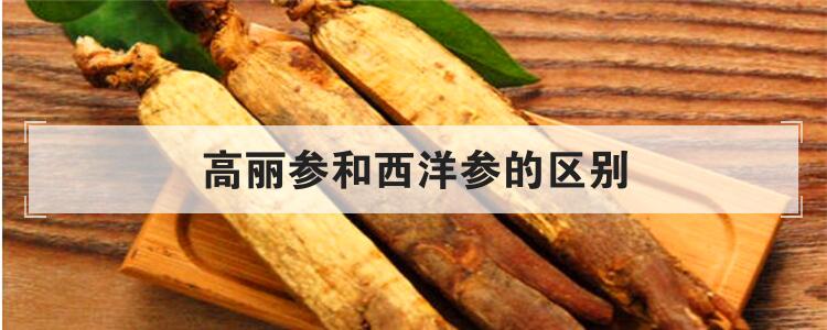 高丽参和西洋参的区别