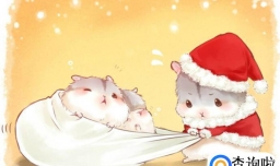 小仓鼠能吃什么