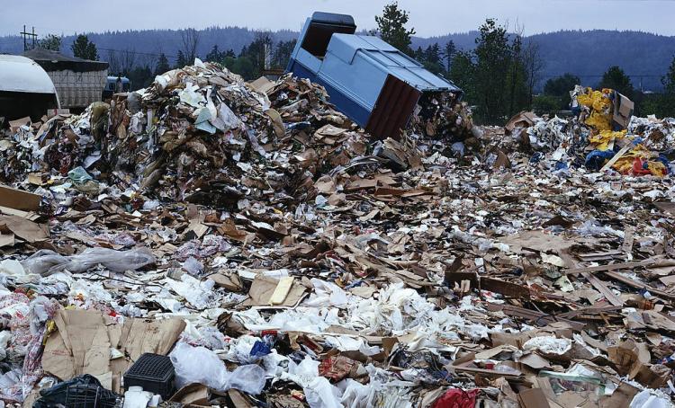 环境污染的毒作用