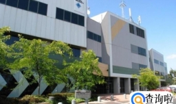 塔斯马尼亚大学职业会计专业和昆士兰大学职业会计（商学）专业哪个好？