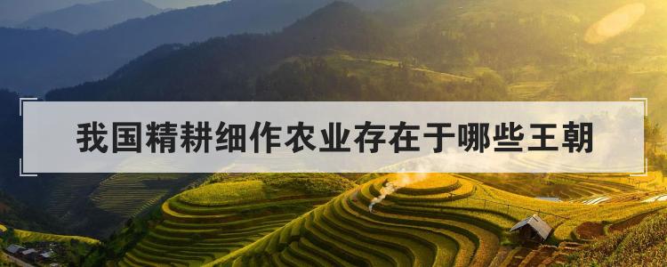我国精耕细作农业存在于哪些王朝
