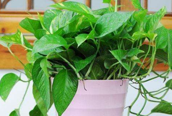 新买的床如何去甲醛