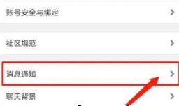 K歌达人如何开启震动提醒功能