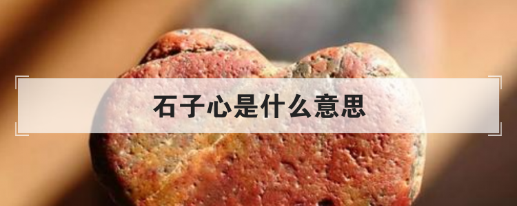 石子心是什么意思