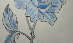 蓝色妖姬简笔画