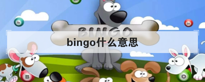 bingo什么意思