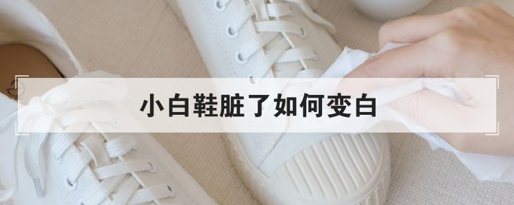 小白鞋脏了如何变白