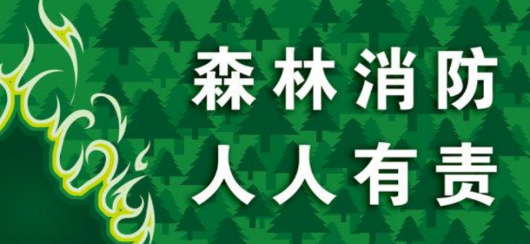 森林防火知识有哪些