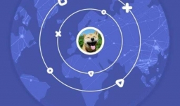 为什么题库会采纳玩家的题目